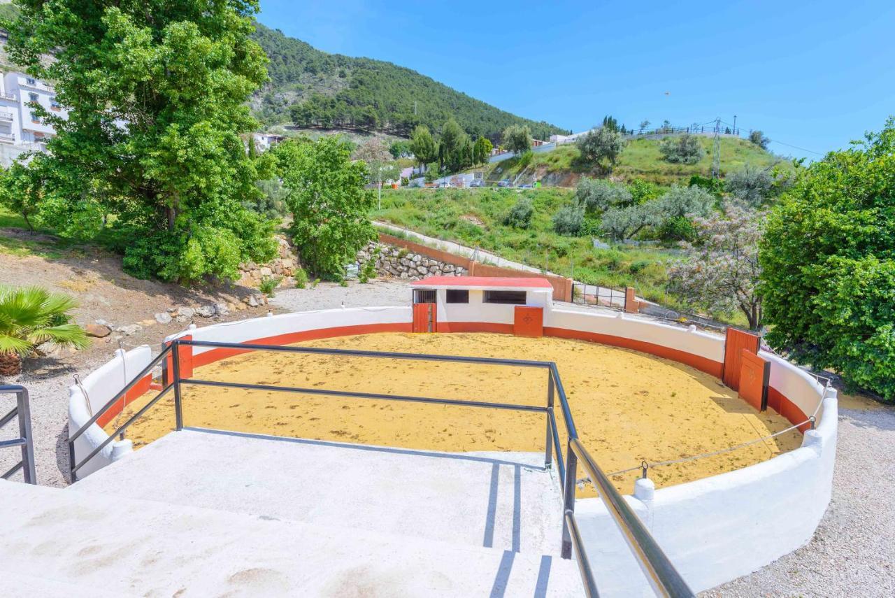 Alcaucín Casa Flores Con Piscina Interior Climatizada מראה חיצוני תמונה